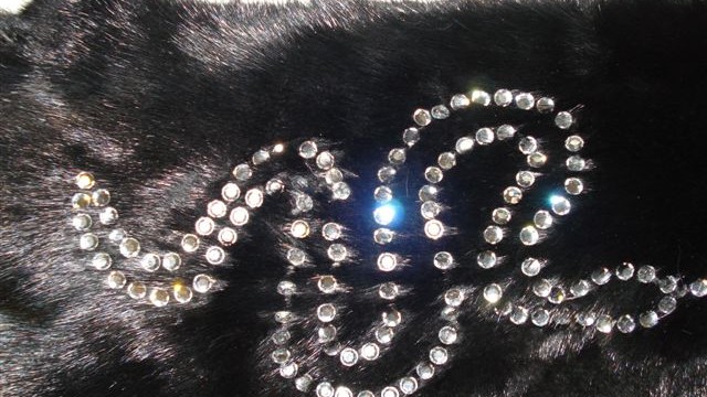 collection 4 strass wave on mink